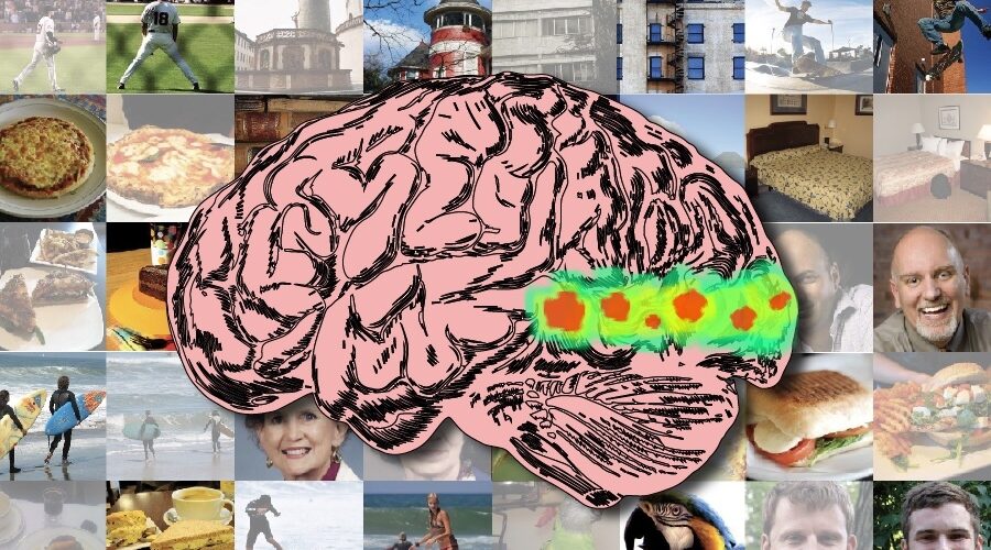 مغز و یادآوری بصری