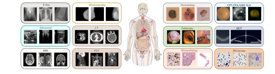 مدل‌های زبانی بزرگ علمی